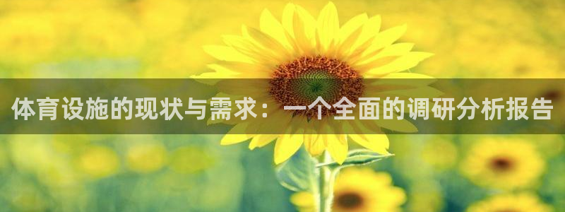 凯捷体育娱乐代理怎么样：体育设施的现状与需求：一个全