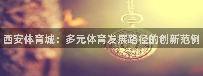 德国凯捷体育集团：西安体育城：多元体育发展路径的创新