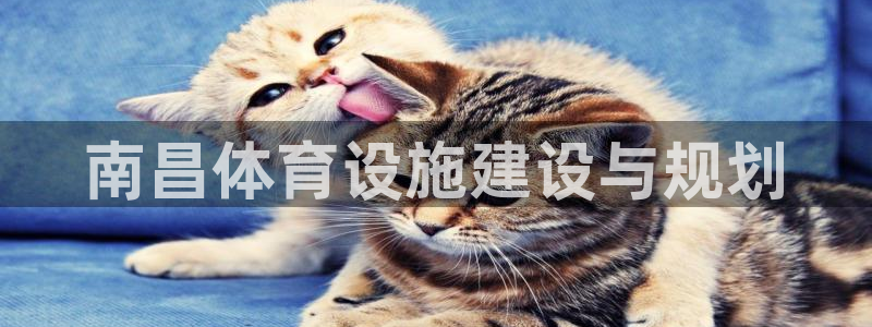 凯捷体育招商电话号码是多少：南昌体育设施建设与规划