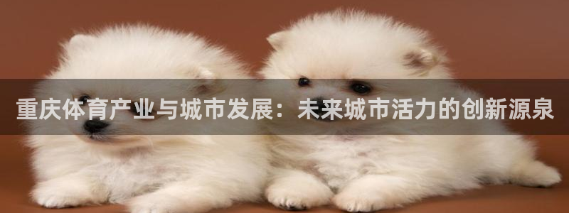 凯捷体育官方：重庆体育产业与城市发展：未来城市活力的创新源泉