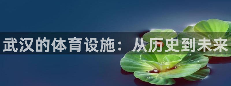 凯捷体育五金厂：武汉的体育设施：从历史到未来