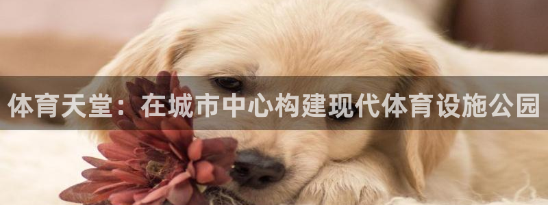 凯捷体育招商：体育天堂：在城市中心构建现代体育设施公