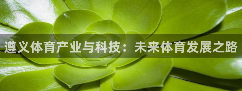 凯捷体育平台APP：遵义体育产业与科技：未来体育发展