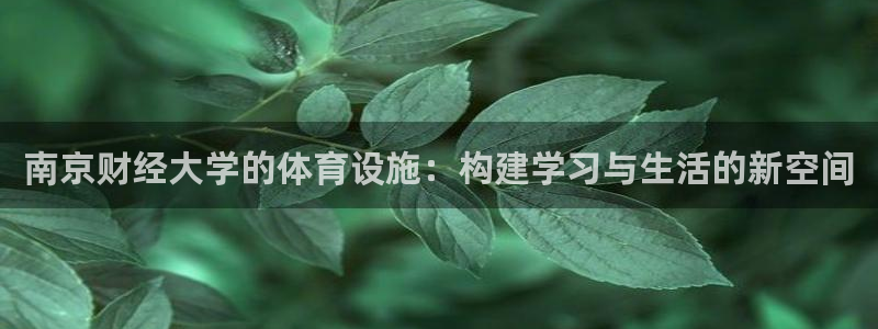 凯捷体育招商电话是多少号码：南京财经大学的体育设施：