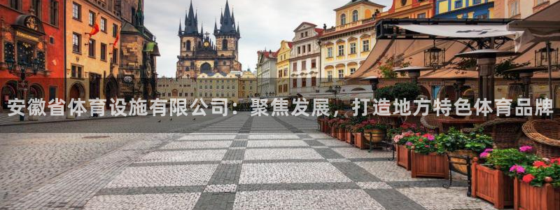凯捷体育娱乐首页网站大全：安徽省体育设施有限公司：聚