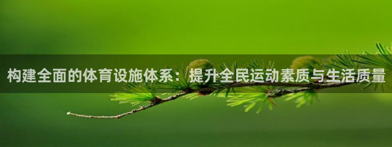 凯捷体育平台是正规平台吗知乎：构建全面的体育设施体系