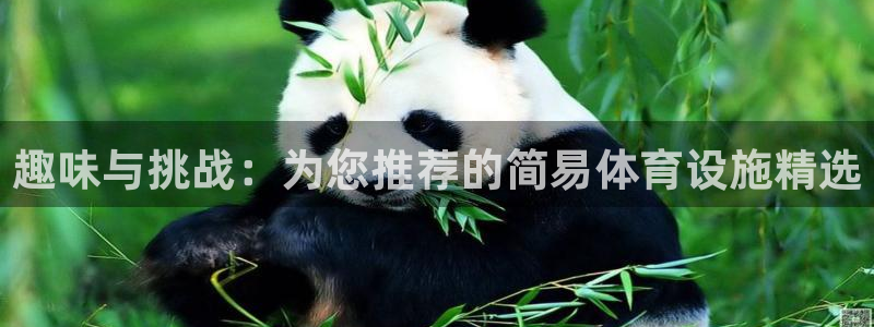 凯捷体育娱乐代理怎么样：趣味与挑战：为您推荐的简易体