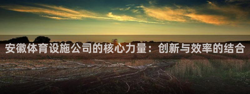 凯捷体育五金厂：安徽体育设施公司的核心力量：创新与效