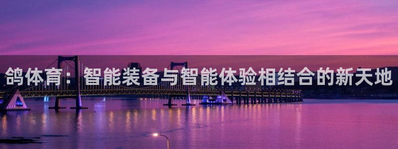 凯捷体育神州：鸽体育：智能装备与智能体验相结合的新天