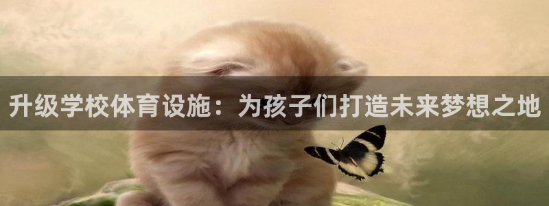凯捷体育娱乐平台：升级学校体育设施：为孩子们打造未来