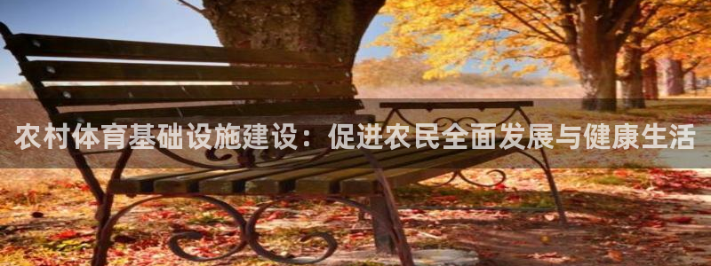 凯捷体育娱乐网站：农村体育基础设施建设：促进农民全面