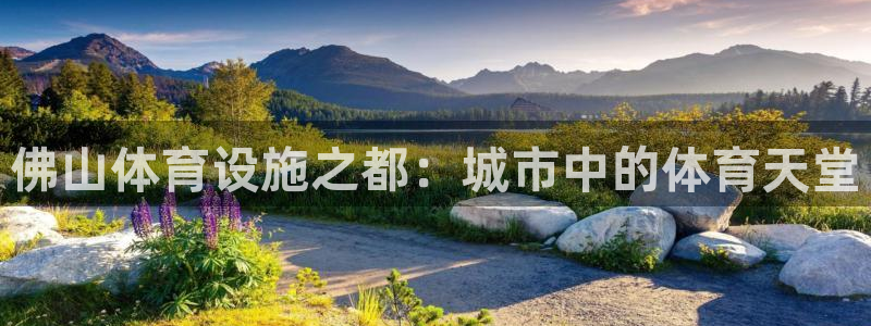 凯捷体育集团简介：佛山体育设施之都：城市中的体育天堂