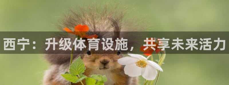 凯捷体育招商：西宁：升级体育设施，共享未来活力