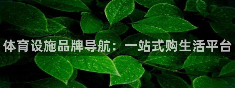 凯捷体育官方：体育设施品牌导航：一站式购生活平台