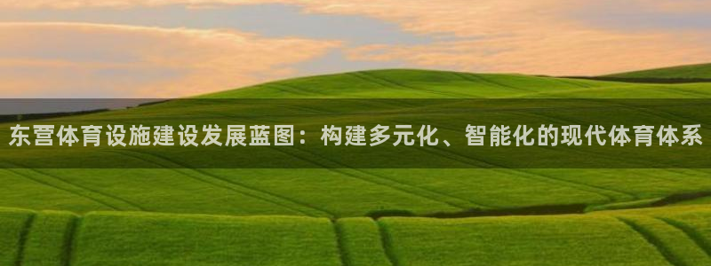 凯捷体育开户：东营体育设施建设发展蓝图：构建多元化、