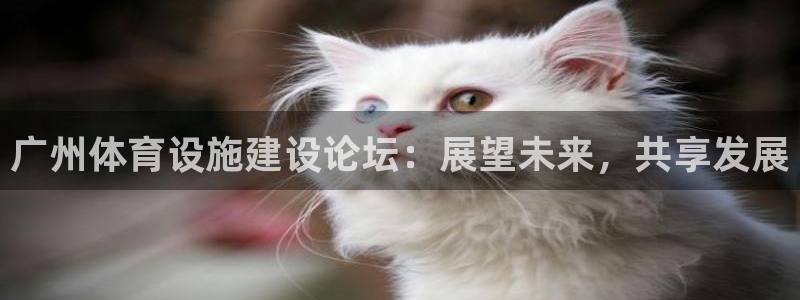 凯捷体育官方客服电话：广州体育设施建设论坛：展望未来