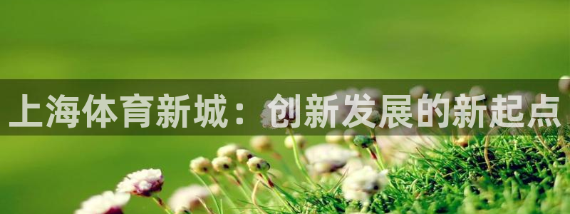 凯捷体育招商电话是多少：上海体育新城：创新发展的新起