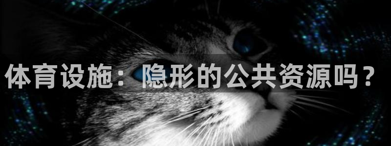 凯捷体育平台是正规平台吗：体育设施：隐形的公共资源吗