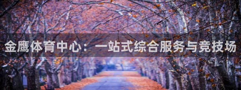 凯捷体育开户：金鹰体育中心：一站式综合服务与竞技场