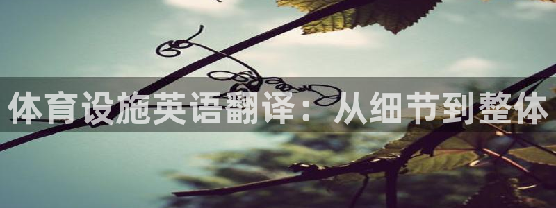 凯捷体育招商电话地址：体育设施英语翻译：从细节到整体