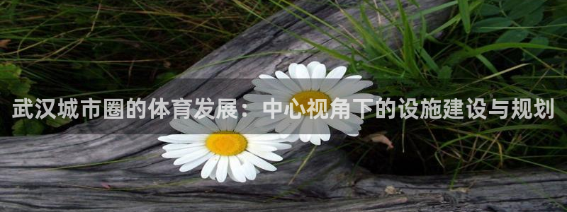 凯捷体育平台注册要钱吗是真的吗：武汉城市圈的体育发展