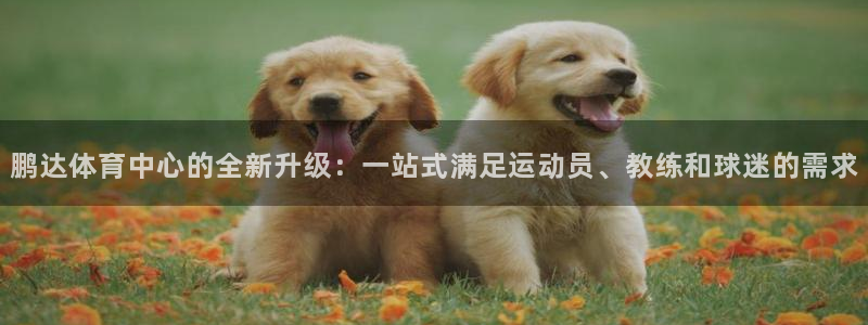 凯捷体育平台注册要钱吗：鹏达体育中心的全新升级：一站式满足运 