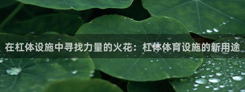 凯捷体育娱乐网站：在杠体设施中寻找力量的火花：杠体体育设施的