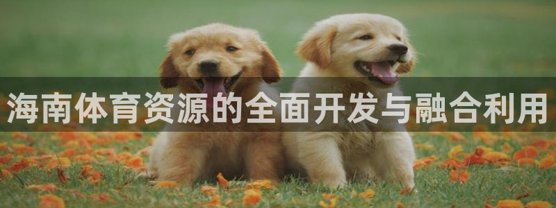 凯捷体育：海南体育资源的全面开发与融合利用