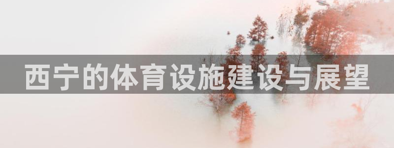 凯捷体育娱乐：西宁的体育设施建设与展望