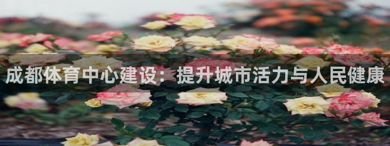 凯捷体育五金厂：成都体育中心建设：提升城市活力与人民