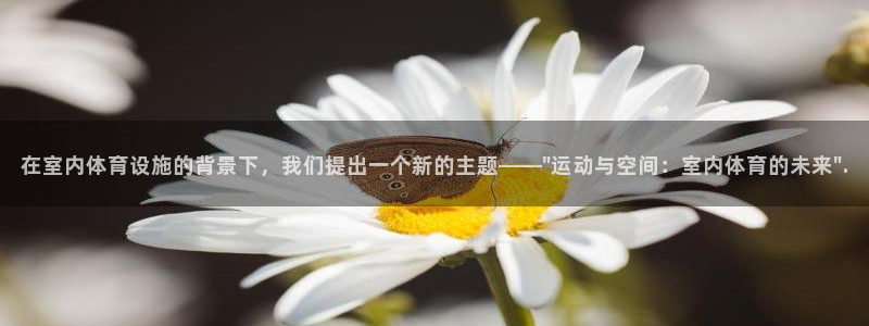 凯捷体育集团E.ON：在室内体育设施的背景下，我们提