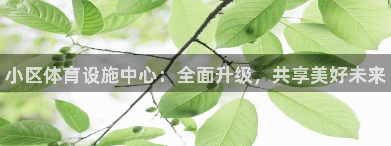 凯捷体育平台是正规平台吗安全吗：小区体育设施中心：全