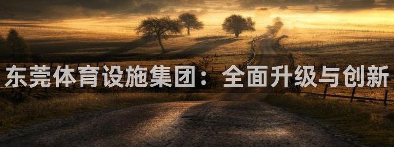 海南凯捷体育发展怎么样：东莞体育设施集团：全面升级与