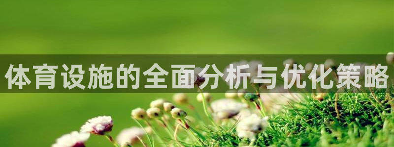 凯捷体育官方客服电话：体育设施的全面分析与优化策略