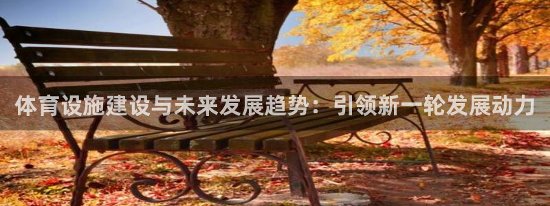 凯捷体育集团E.ON：体育设施建设与未来发展趋势：引