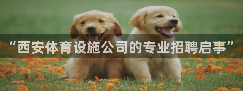 凯捷体育集团E.ON：“西安体育设施公司的专业招聘启