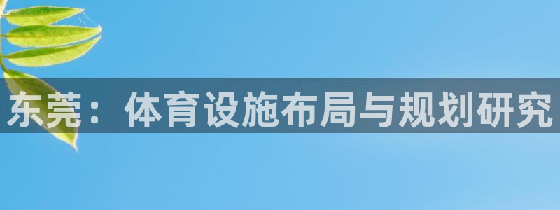 凯捷集团官网：东莞：体育设施布局与规划研究