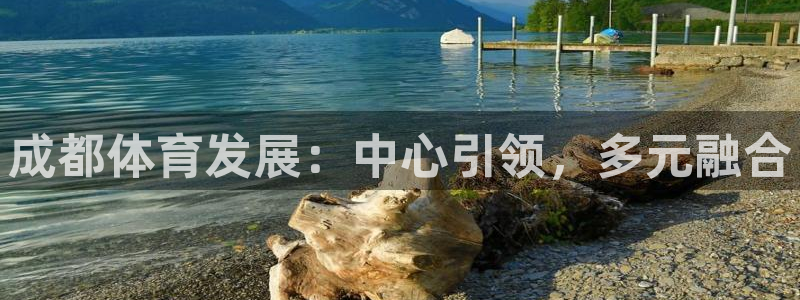 凯捷体育娱乐40996：成都体育发展：中心引领，多元