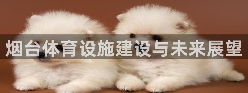 凯捷体育开户：烟台体育设施建设与未来展望