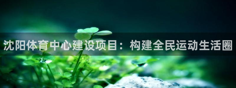 凯捷体育娱乐首页官网下载：沈阳体育中心建设项目：构建
