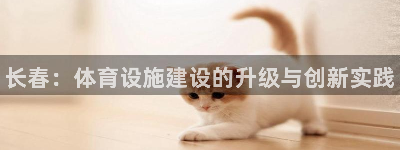 凯捷体育集团E.ON：长春：体育设施建设的升级与创新