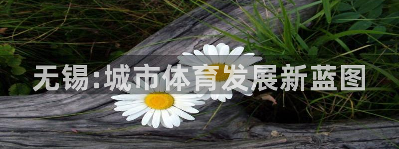 凯捷体育招商电话号码是多少号：无锡:城市体育发展新蓝图