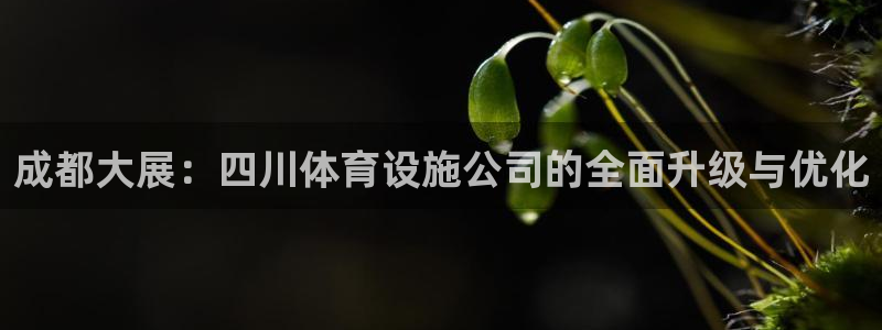 凯捷集团官网：成都大展：四川体育设施公司的全面升级与优化