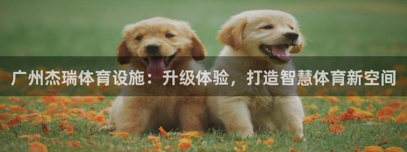凯捷体育平台注册：广州杰瑞体育设施：升级体验，打造智慧体育新