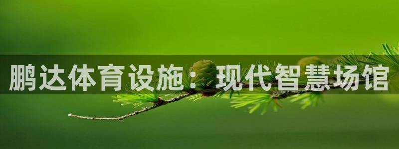 海南凯捷体育发展怎么样：鹏达体育设施：现代智慧场馆